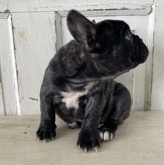 Peanut Mädchen